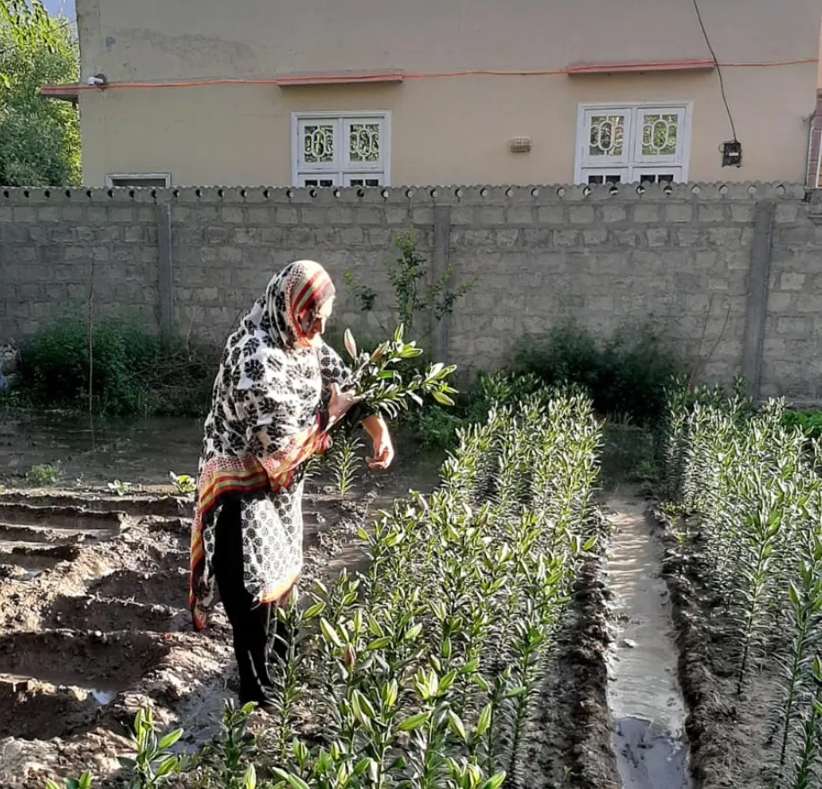 Flower Production