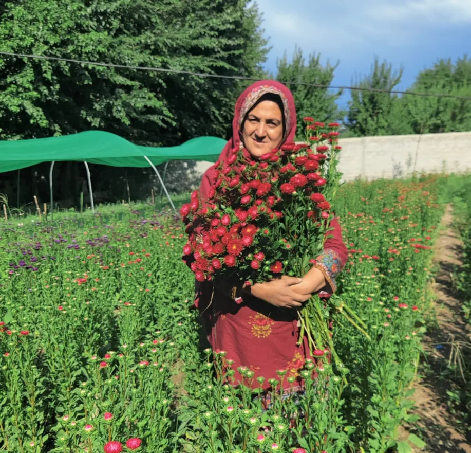 Karakoram Floriculture View