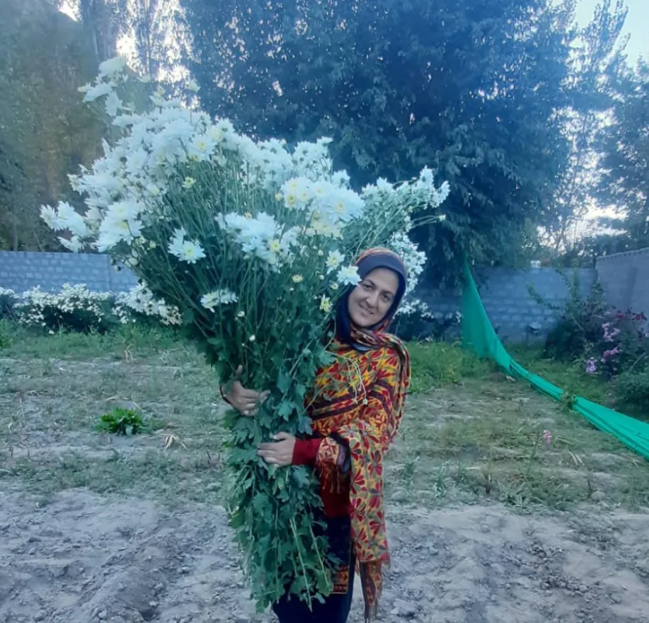 Sustainability