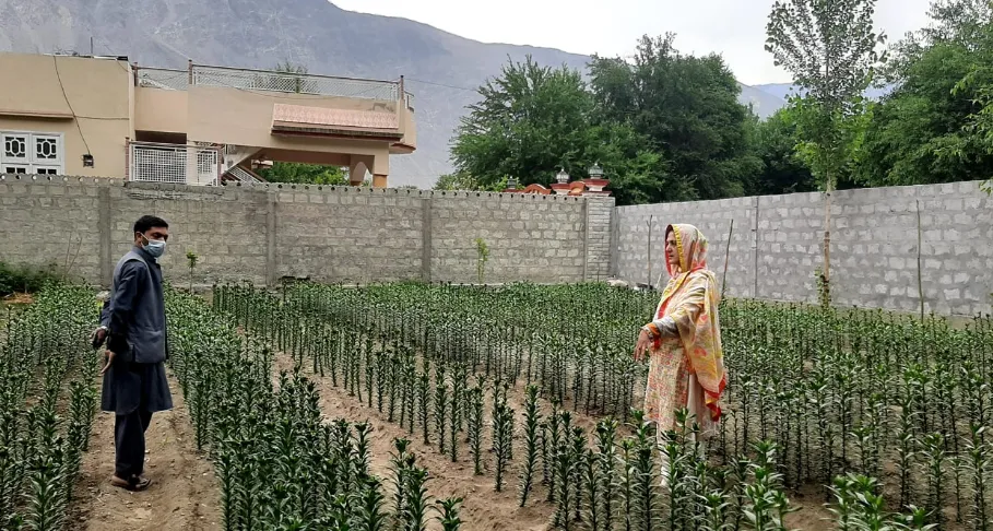 Women Empowerment